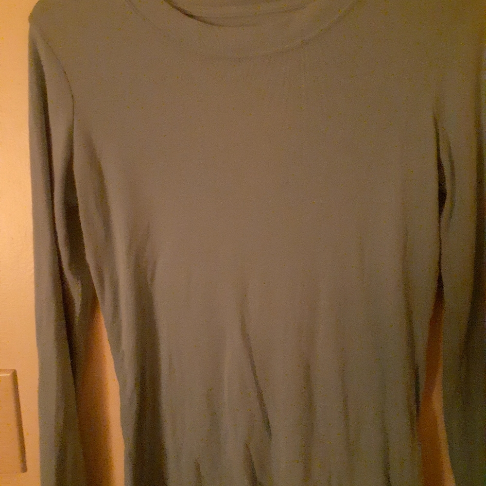 Blue long sleeved gap shirt